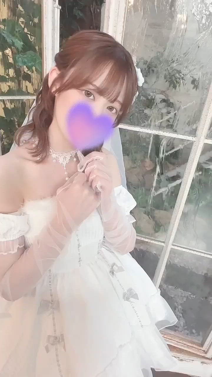 今日いますʕ•ᴥ•ʔ