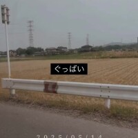 なつ