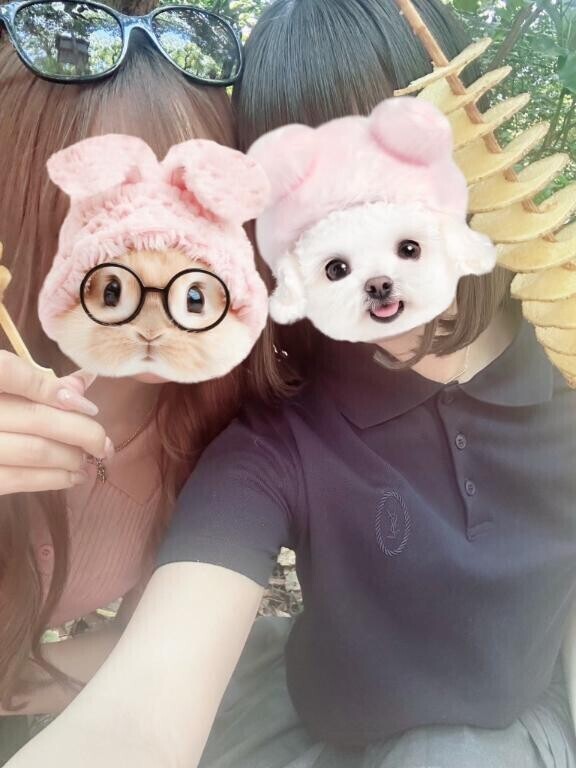 お祭り🎶