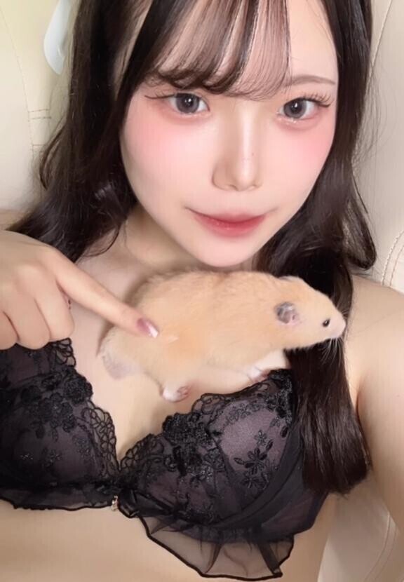 キンタマハムスター