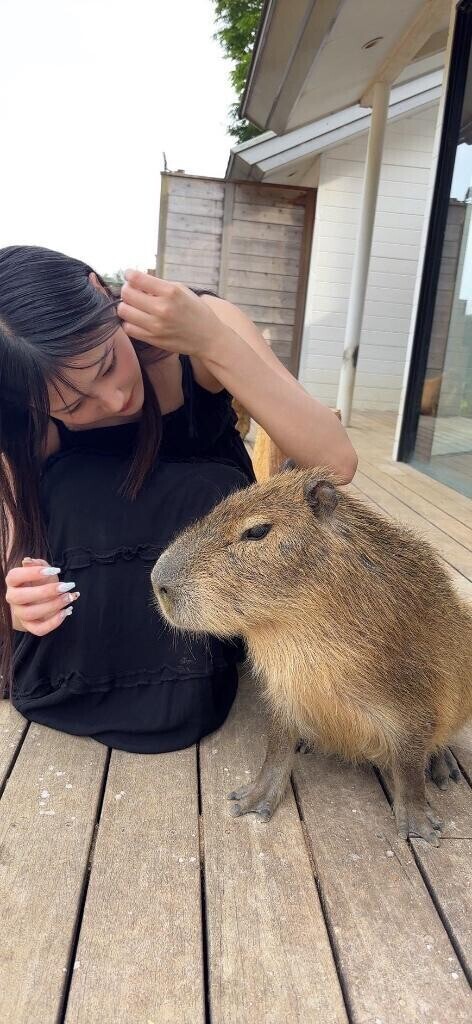 完売🐹