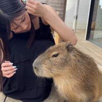 かほ