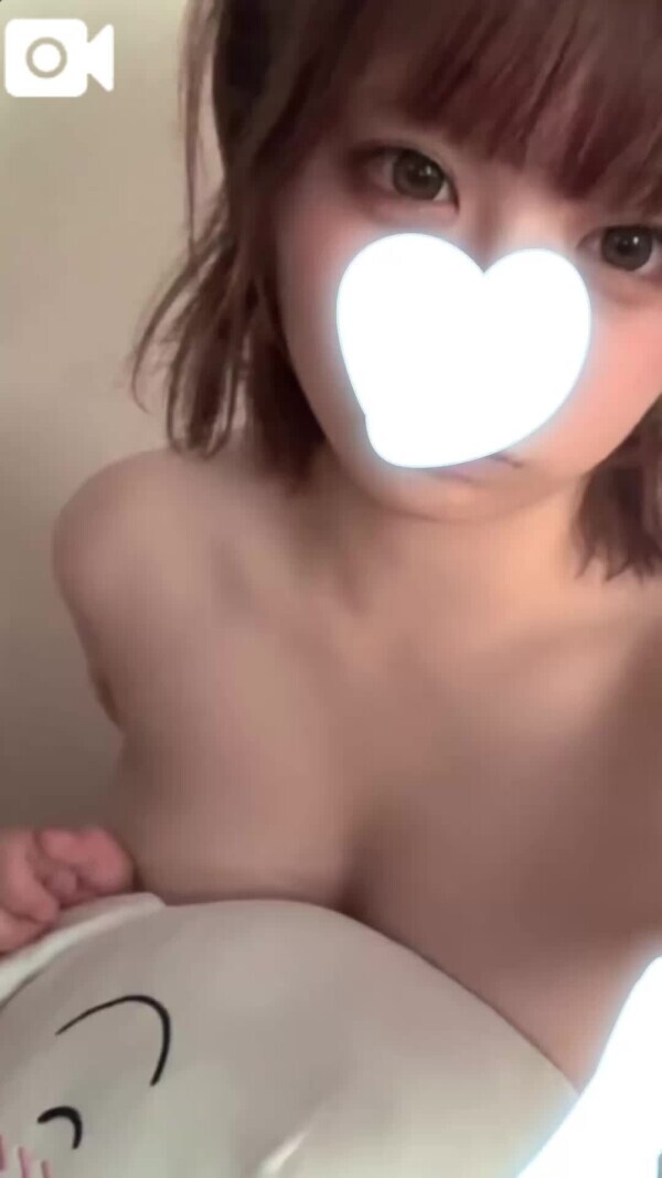 今日もいる！😽