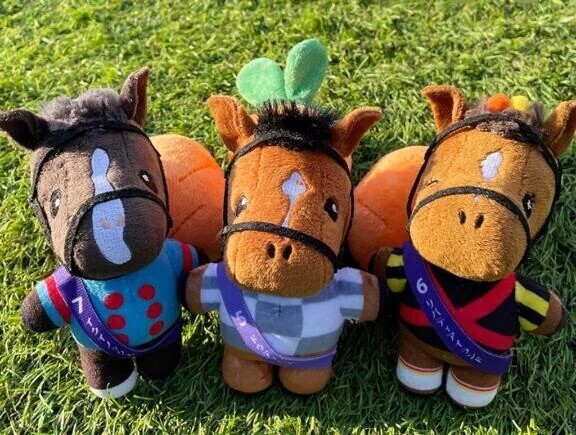 秋といえばコレ🍁🐴✨