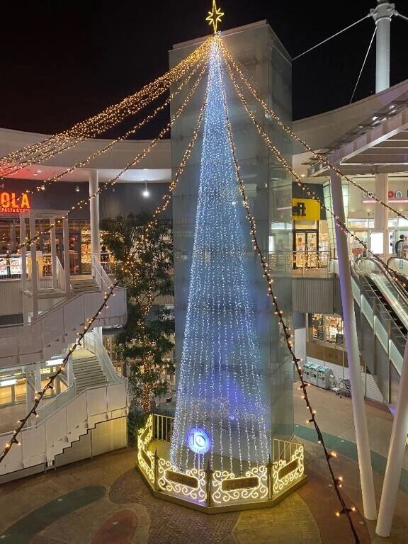 イルミネーション✨