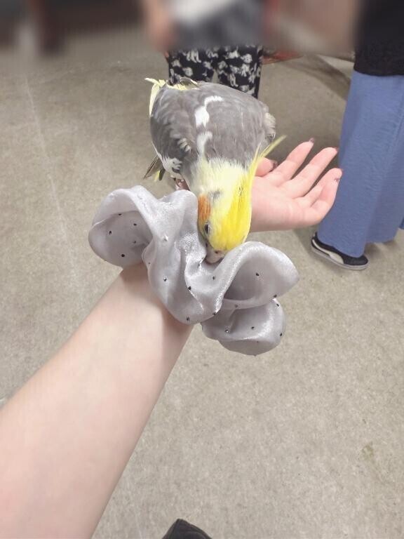 申し訳ありません