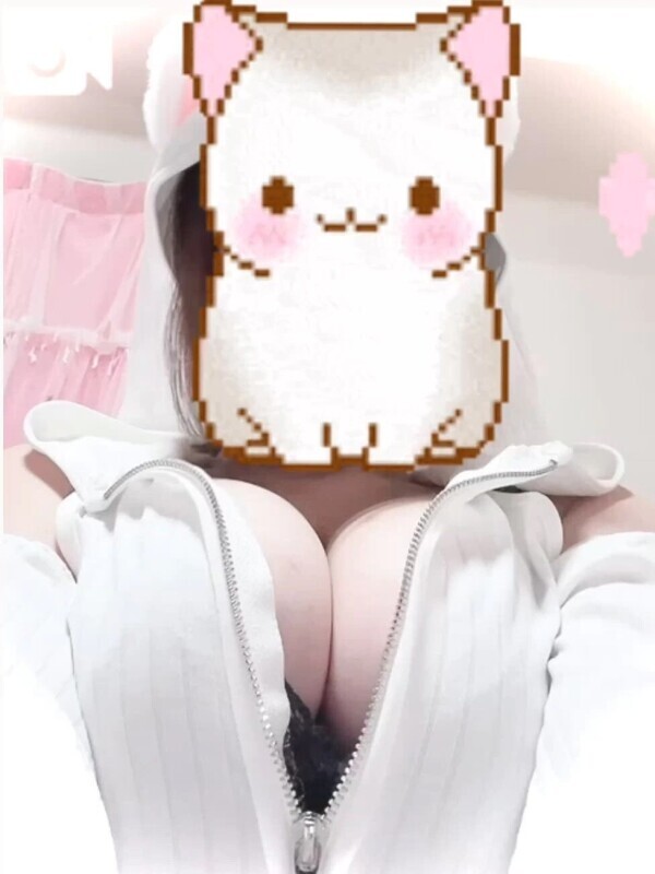 にゃんฅ^•ω•^ฅ✨️🫶