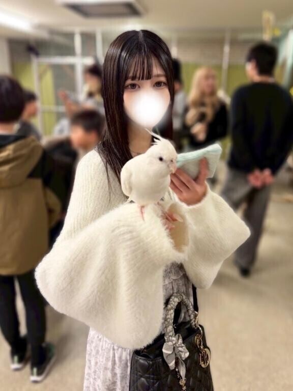白いオカメインコ
