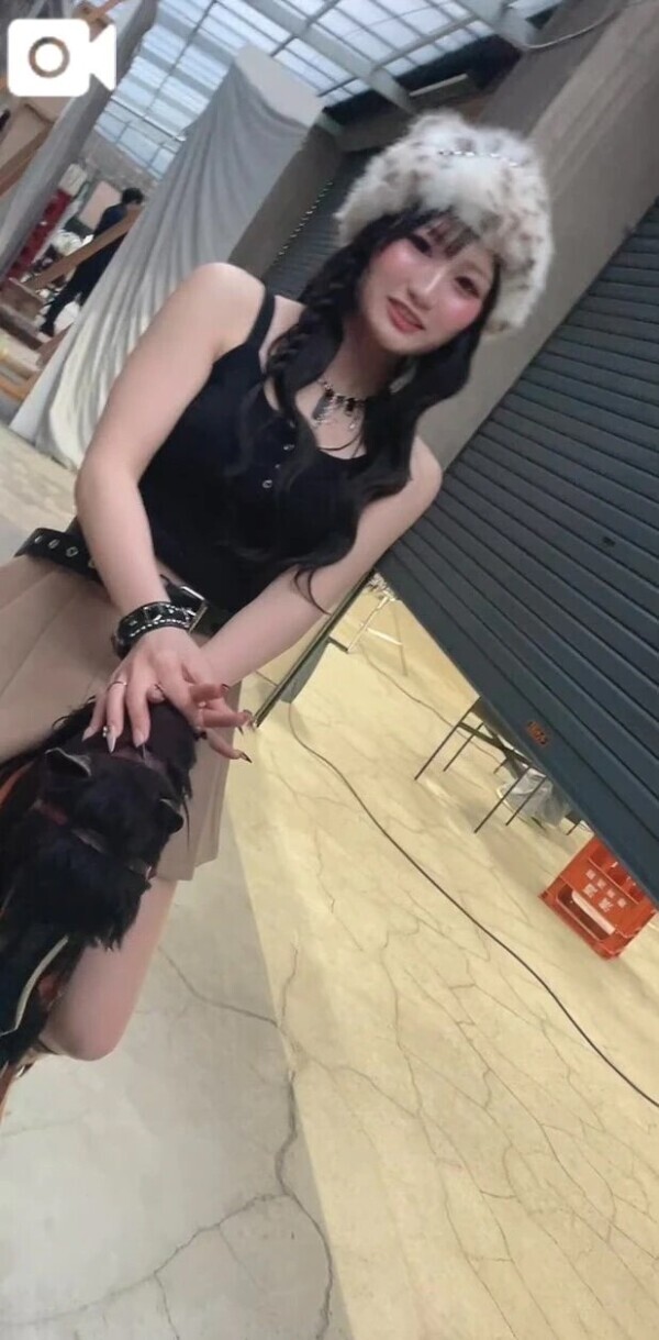 お馬さん🐎