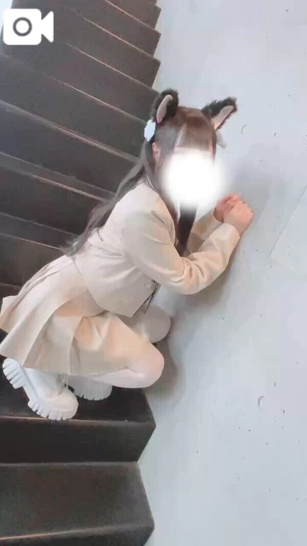 ねこ🐈