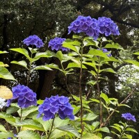 おはようございます🦋