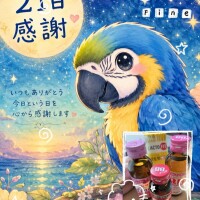 ありがとうございました💖