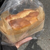 おはようございます