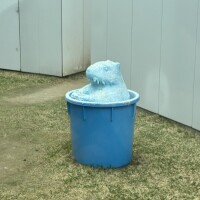 こんばんは