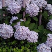 NoTitle