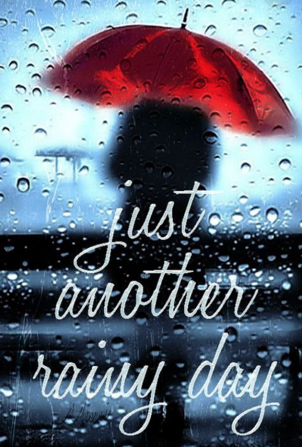 おはようございます☂️