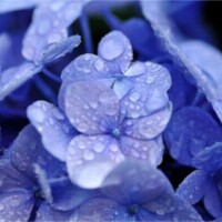 おはよう