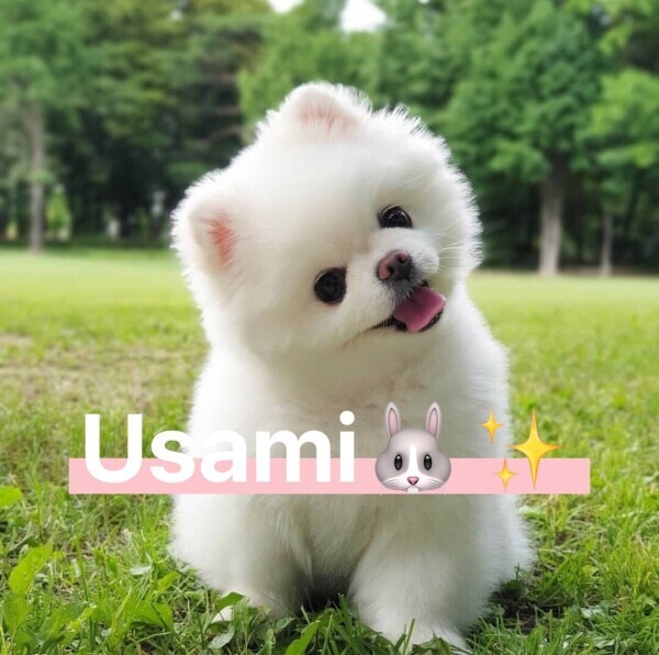 おはようございます☀