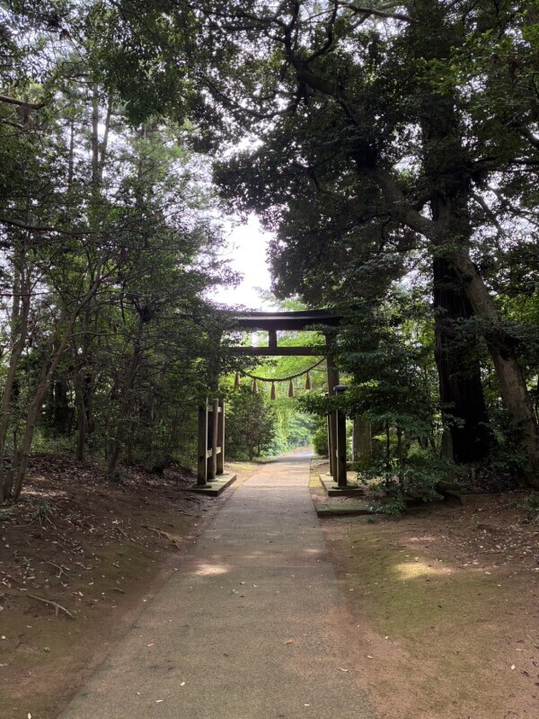 こんにちは