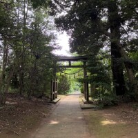 こんにちは