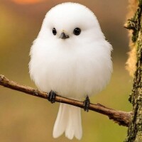 おはようございます