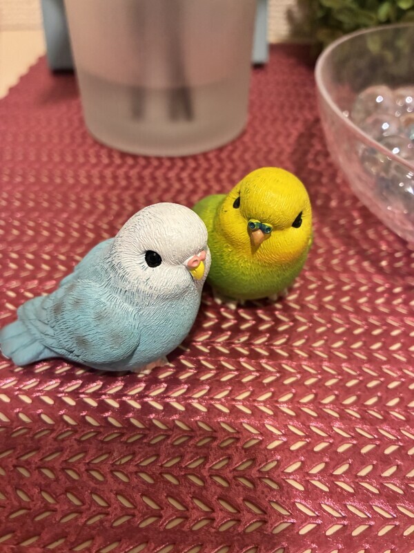 おはよう
