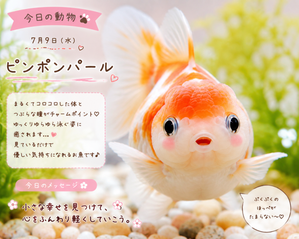 ありがとうごいました💖