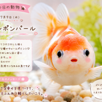 ありがとうごいました💖
