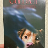 こんばんは☘️