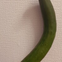 こんばんは