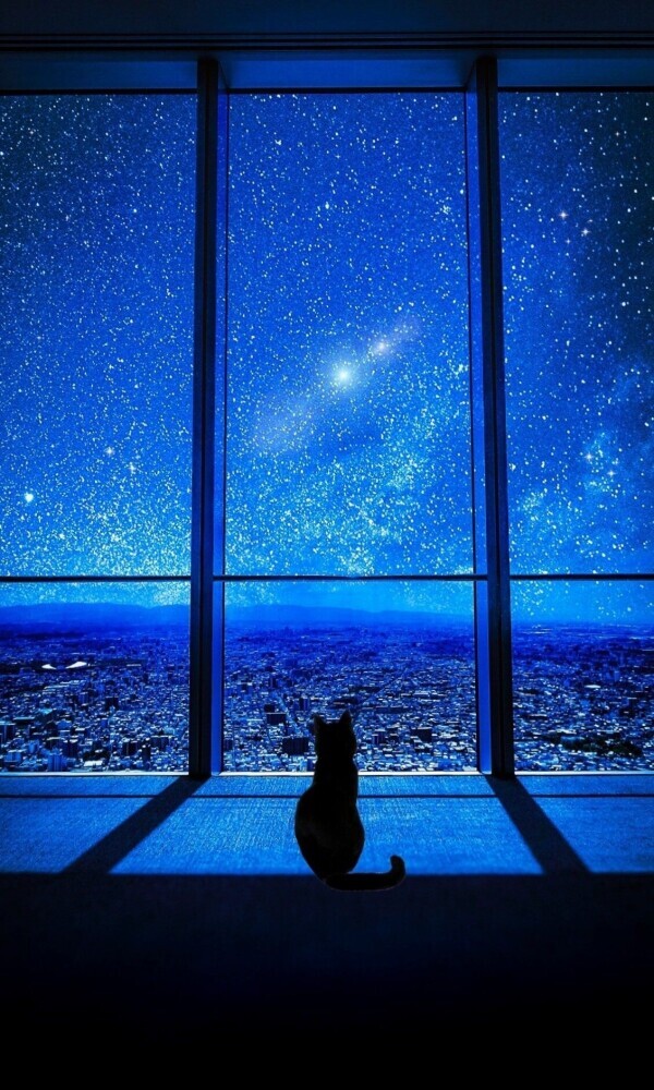 夜更かしさん