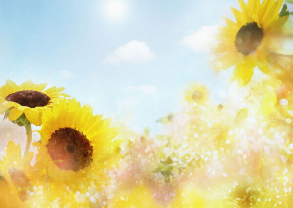 おはようございます🔆