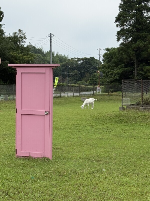 こんばんわ