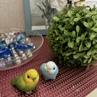 ありがとう
