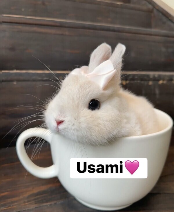おはようございます☀️