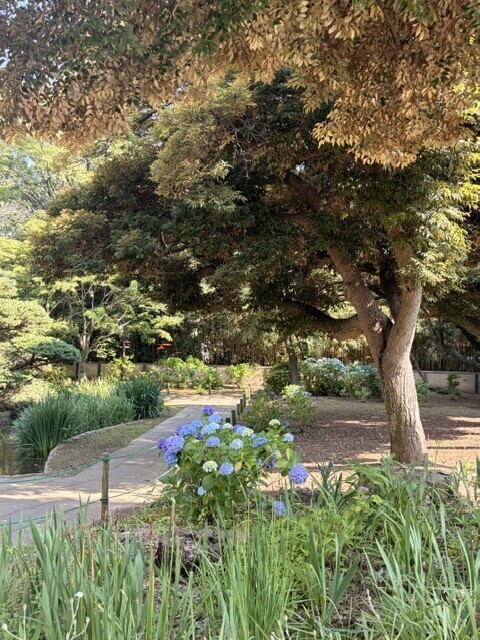 今日は市原！