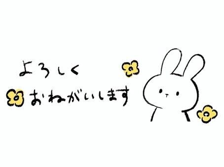 初めまして！