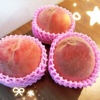 おやすみなさい😌
