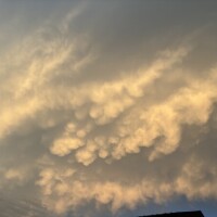 おはようございます🦋