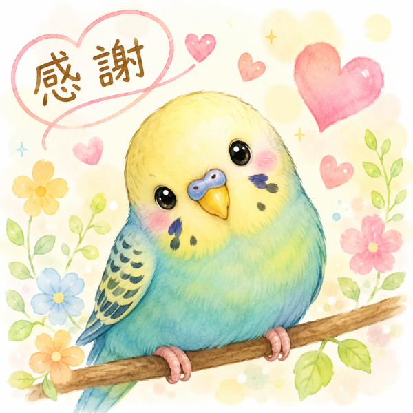 こんばんは💖