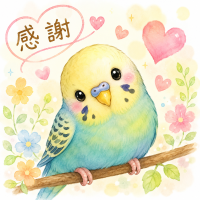 こんばんは💖