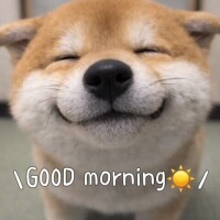 おはようございます☀