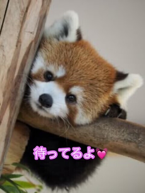 キュン死💘