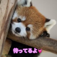 キュン死💘