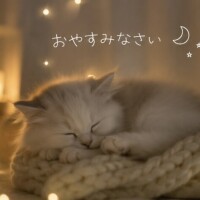 今日もお疲れ様でした♪