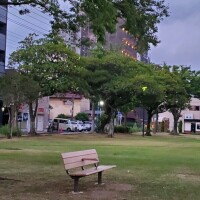 やさしい帰り道