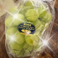 本日もありがとうございました