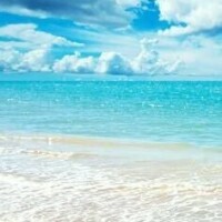 おはようございます☀️🐬