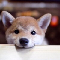 おはようございます☀