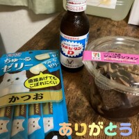 こんばんは